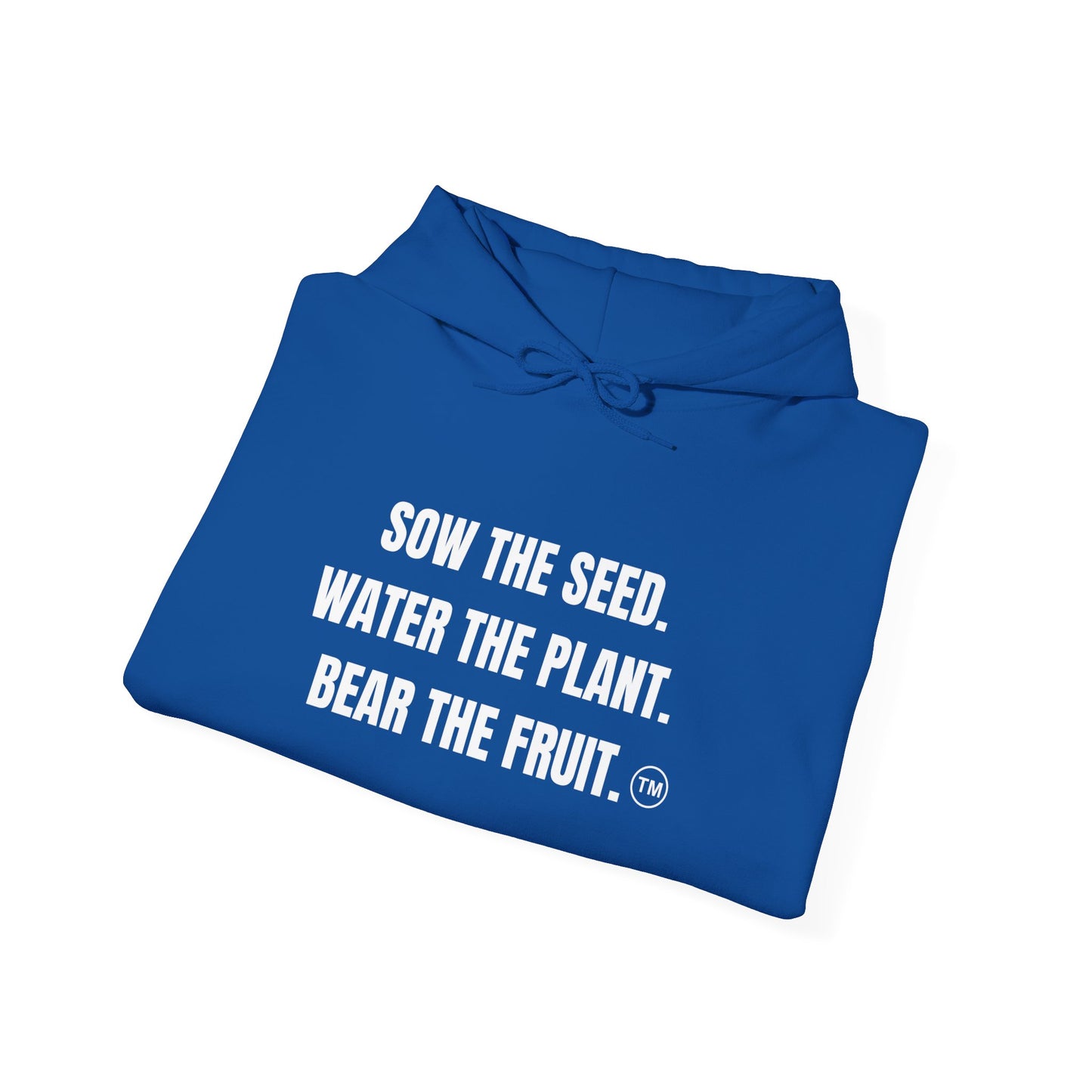 The Message Hoodie: Royal Blue